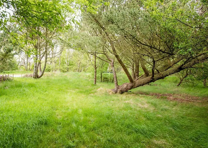 Secluded Retreat By Limfjorden - By Traum